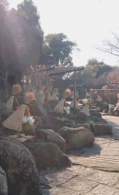 ぼたん庭園3