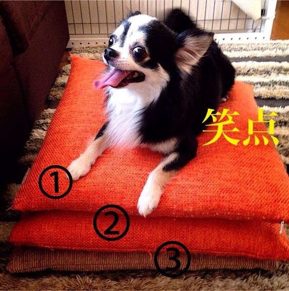笑点