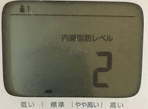内臓脂肪