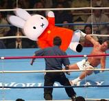 miffy