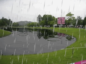 雨