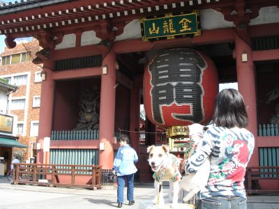 ef827980.jpg
