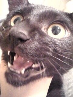 }rmM̃ATĂKeỹ\tgvo [f]ڋ֎~]©bbspink.com	YouTube>26{ ->摜>2490 