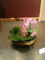 2a814a17.jpg