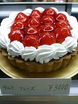 7888204b.jpg