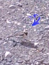7aa08b4f.jpg