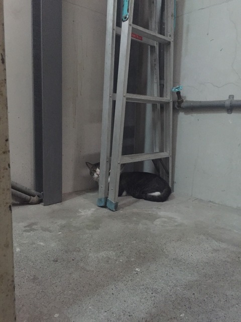 S__5726240