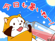 今日も暑いねー_l