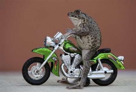 cyfvk2qckoA