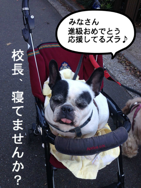 BlogPaint