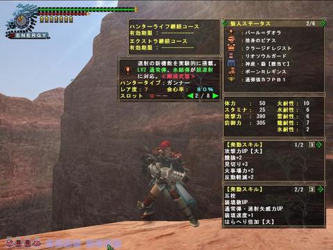 mhf_20100101_191628_796