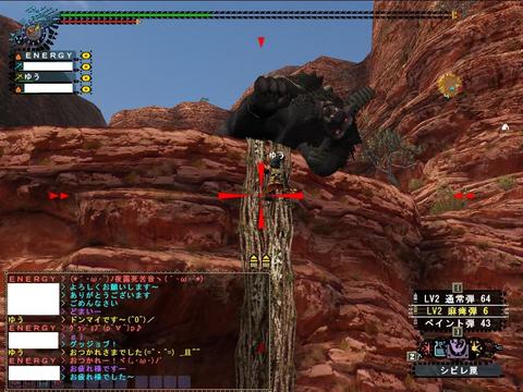 mhf_20100103_001206_515