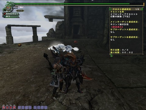 mhf_20110126_202910_187