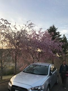 IMG_0964