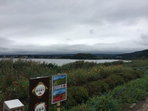 IMG_8607
