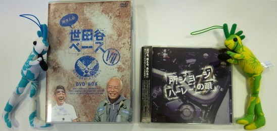 DVD