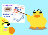 piyo20
