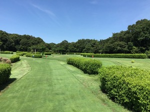 2017-08-27-13-37-52