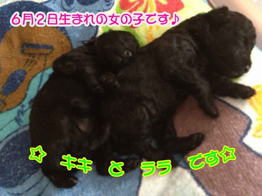 ¥¥¥é¥é