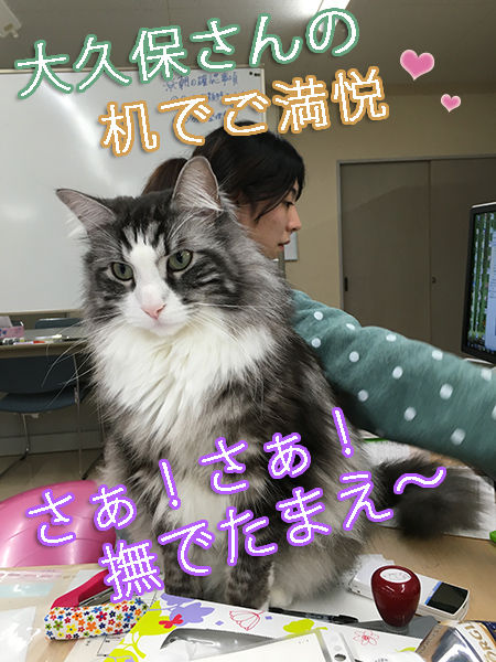 ソラ大久保さん