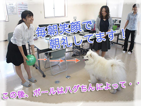 朝礼ハグボール