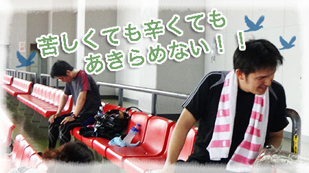 柳さん酒井さん