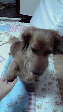 2009052920050001