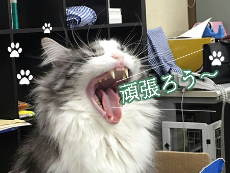 そらくん