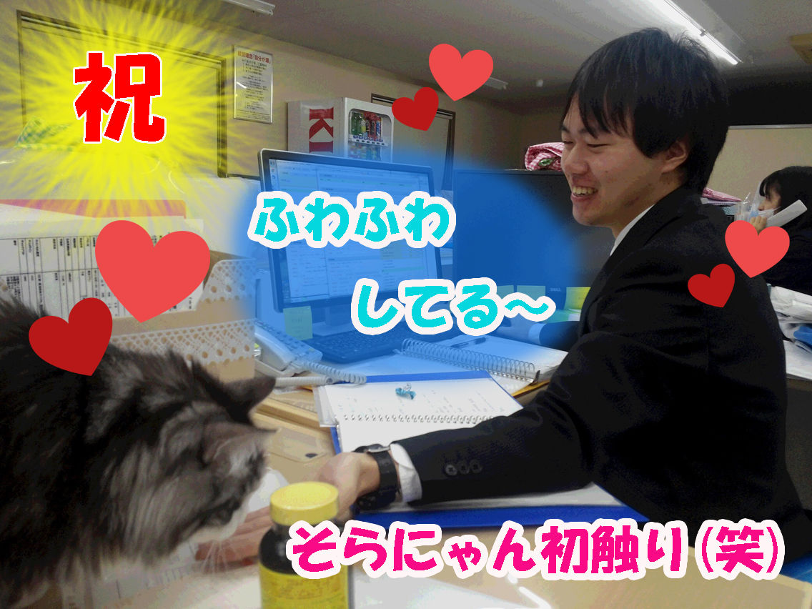 そらくん初触り