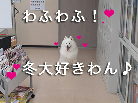 はぐおすわり のコピー