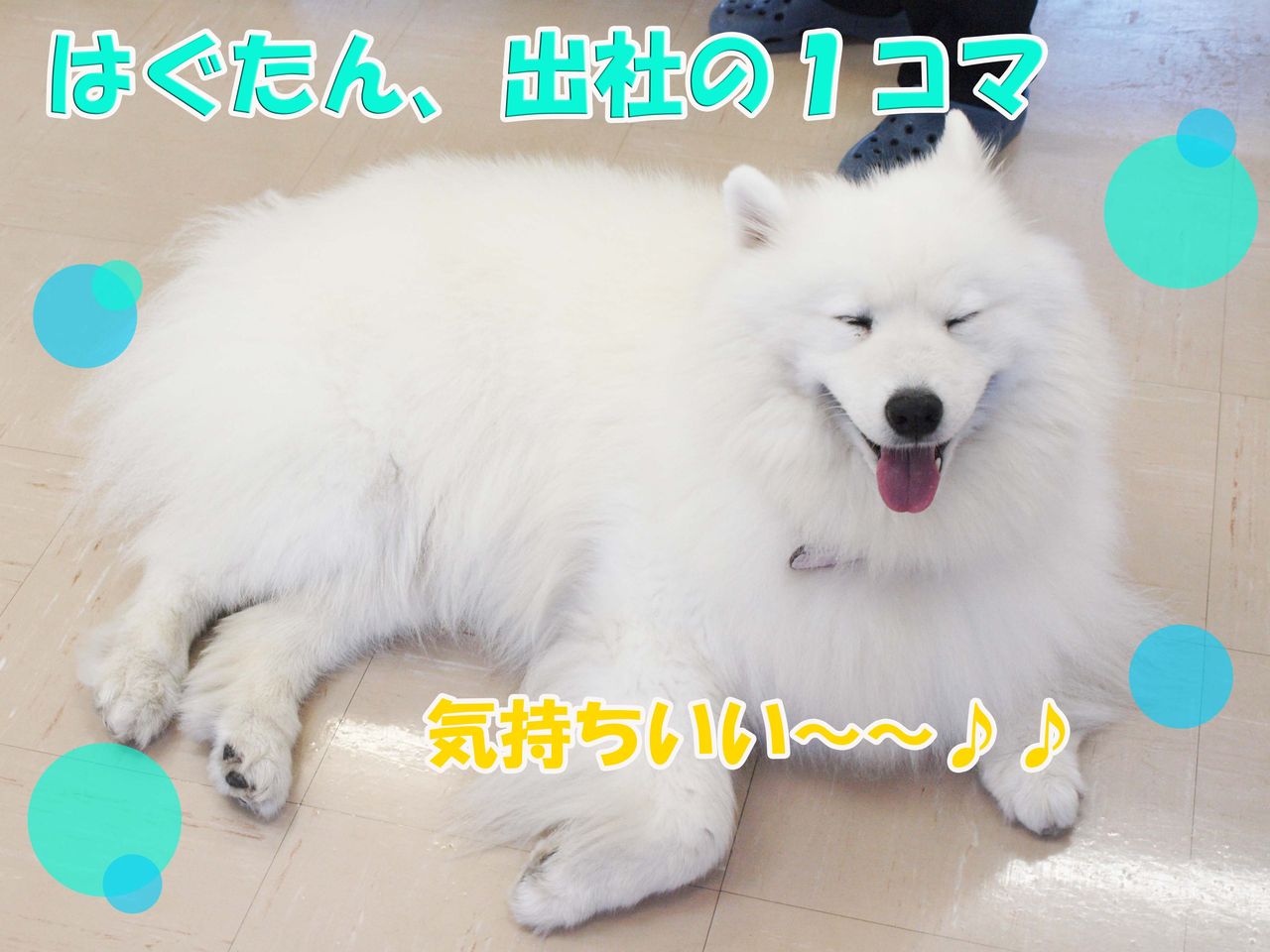 はぐたん、1コマ