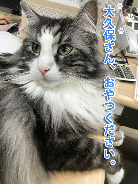 そらのコピー