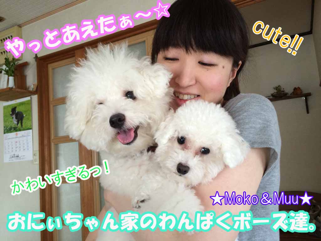 ¥â¥³¤È¤à¤¦