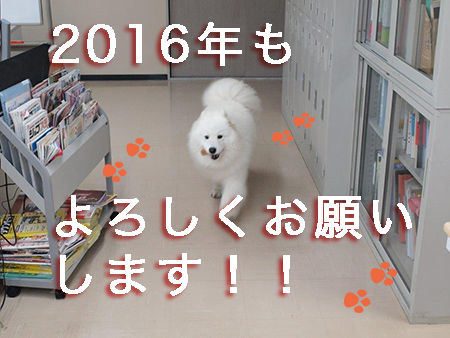 ハグぺろり のコピー