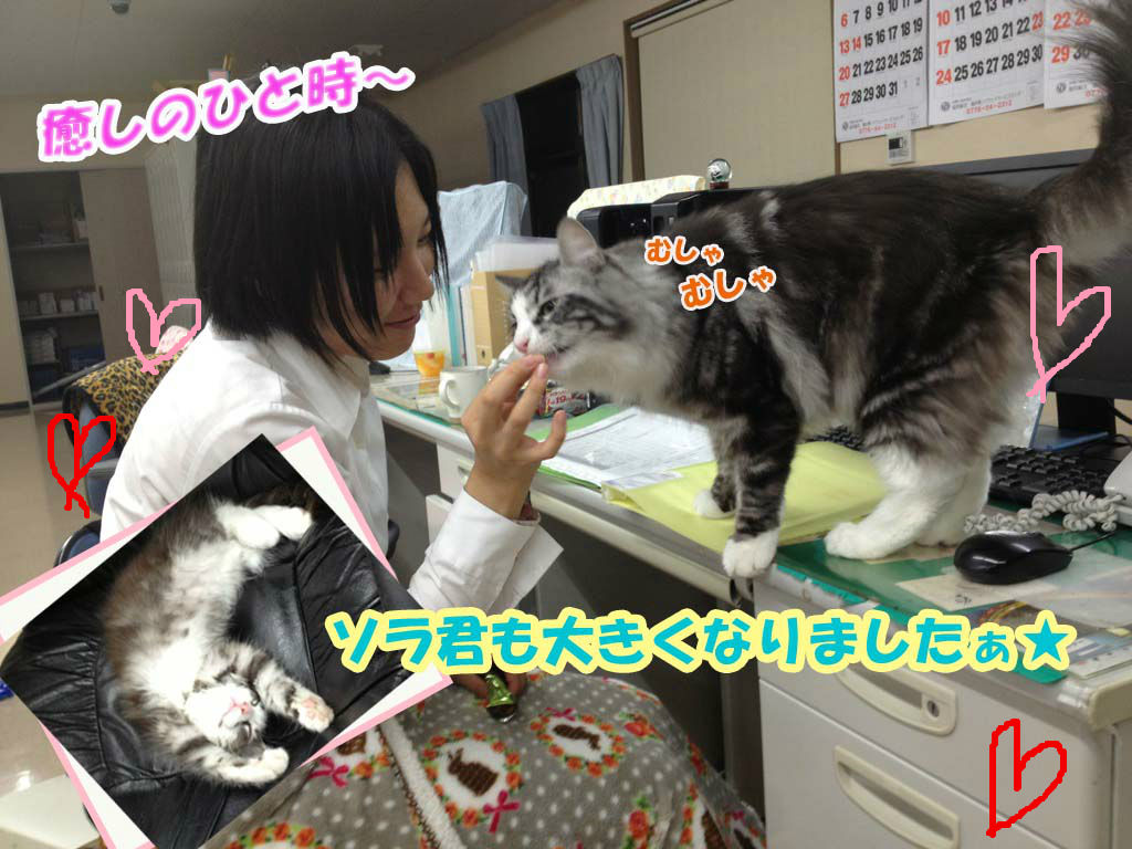 BlogPaint