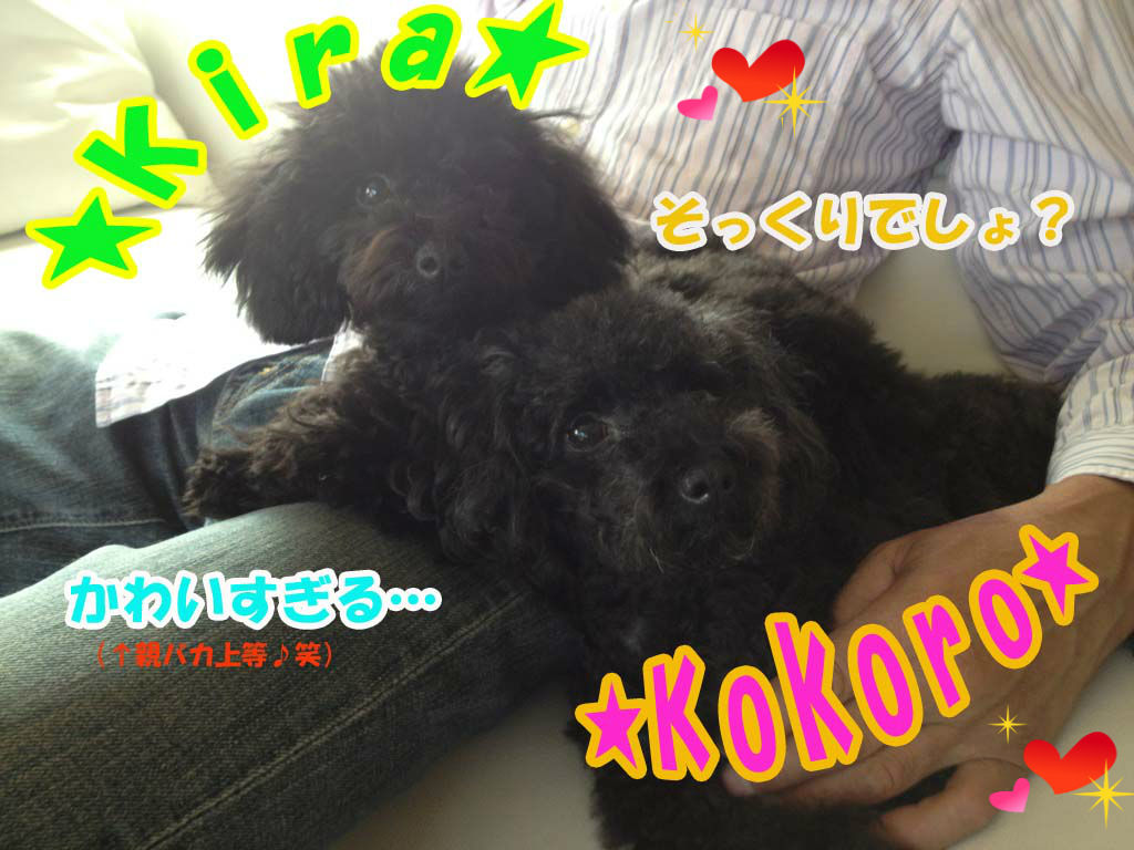 BlogPaint