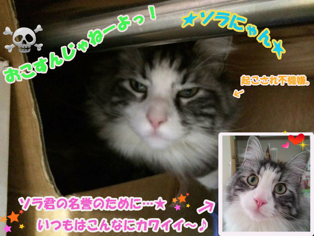 BlogPaint