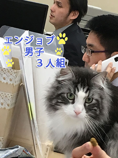 男子のコピー
