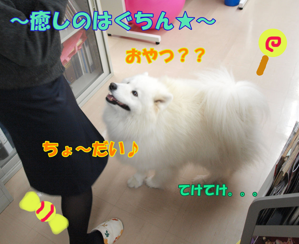 はぐちん