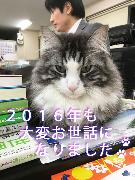 そらだんご