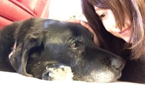 藤原紀香さんと愛犬