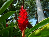 P1050227