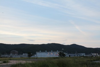 s66