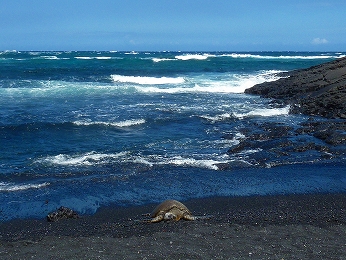 P1010395
