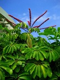 IMG_1992(3)