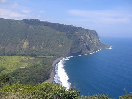 waipio top