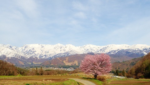 P5030020