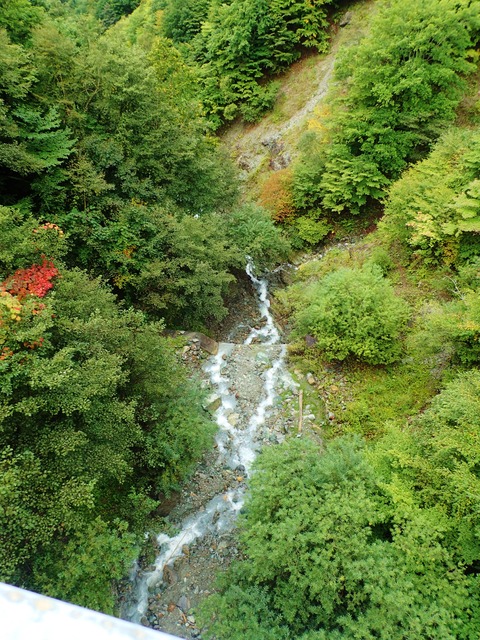 PA020111