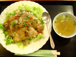 鶏肉と野菜かけご飯