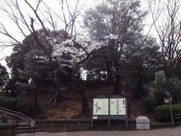 野毛山公園 野毛山公園